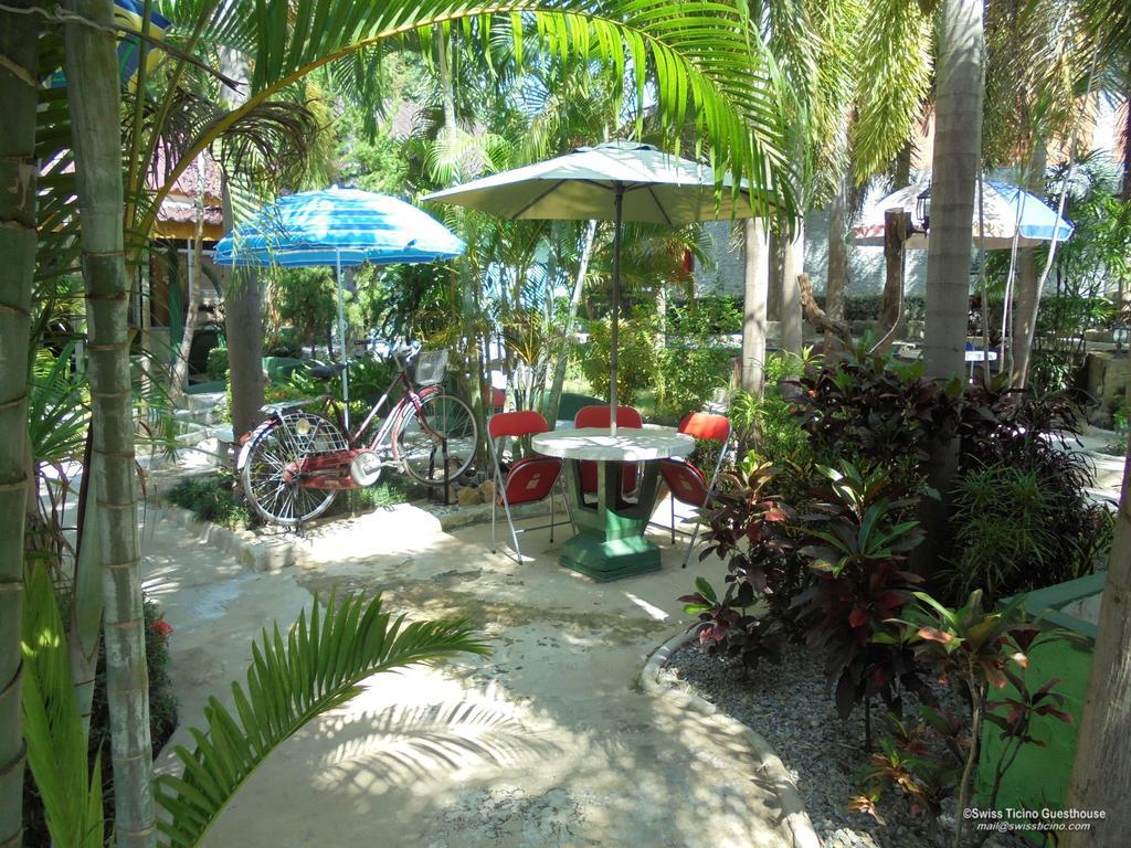 Mae Wang Swiss Ticino Guesthouse & Restaurant מראה חיצוני תמונה